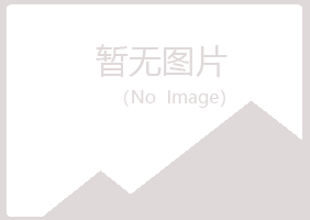 淮南潘集晓夏咨询有限公司